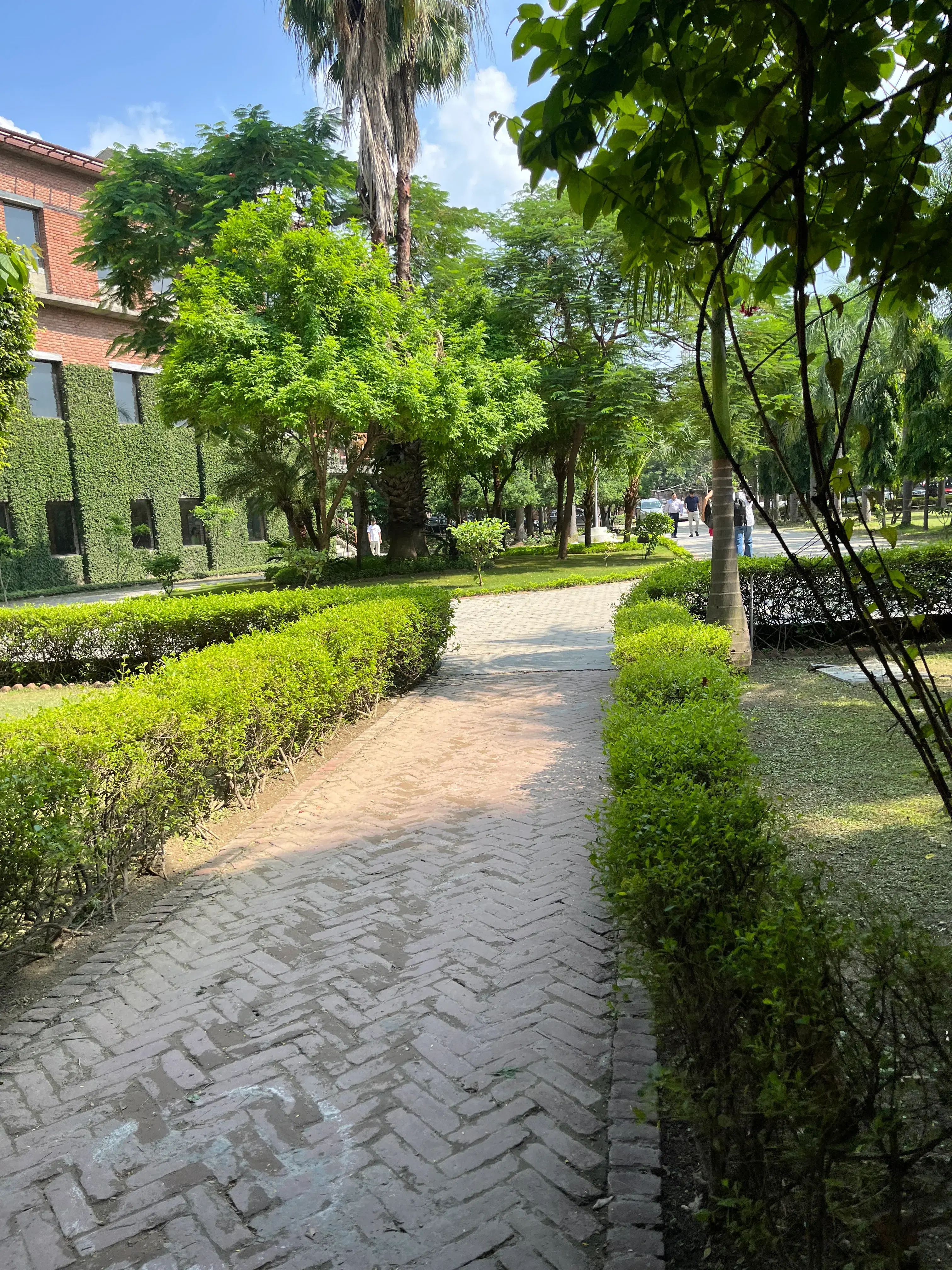IILM University Greater Noida Campus photo 7
